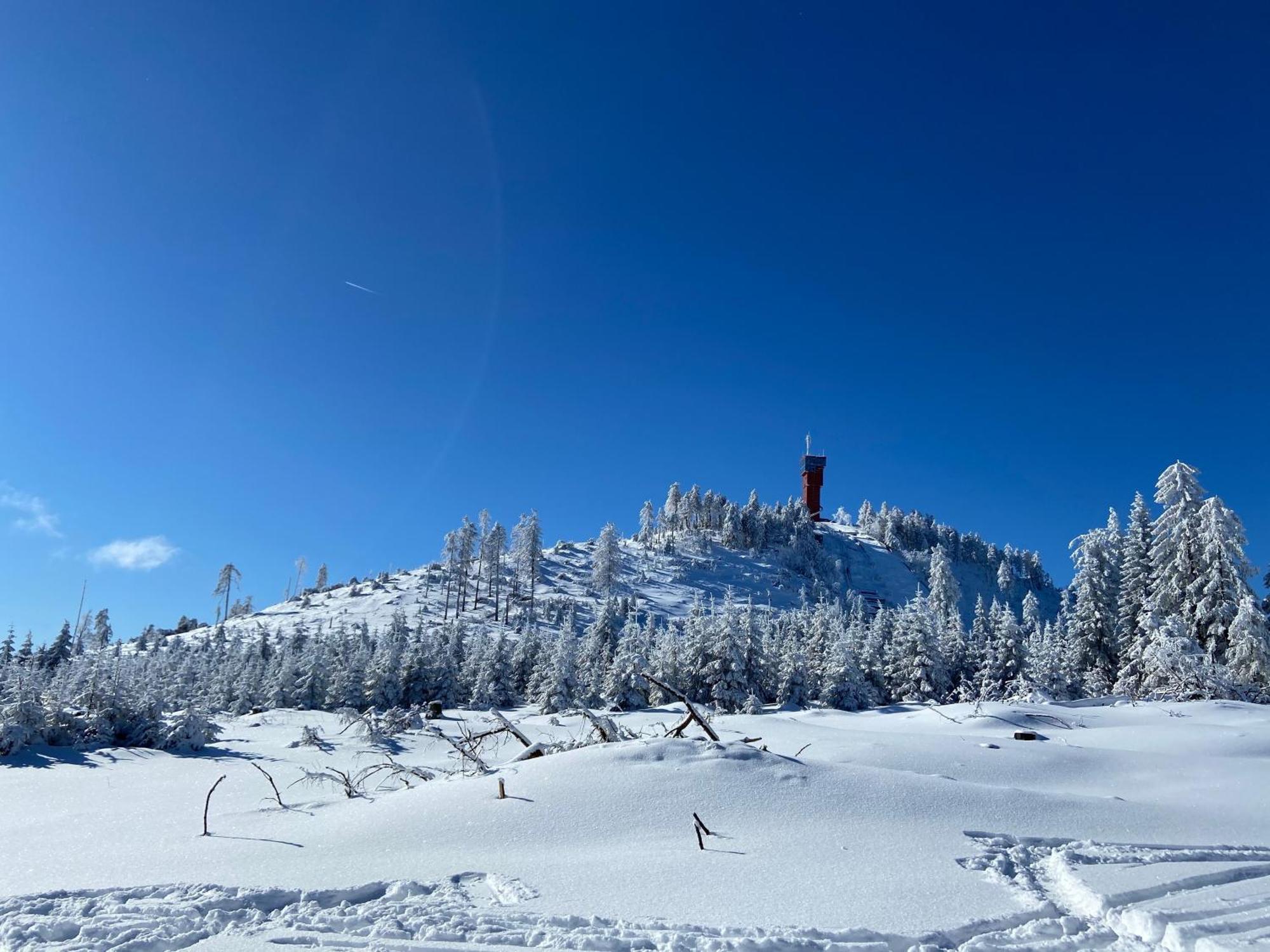 Bergtraum Braunlage Im Harz, 17 Gaeste, Sauna, Pool Exterior foto