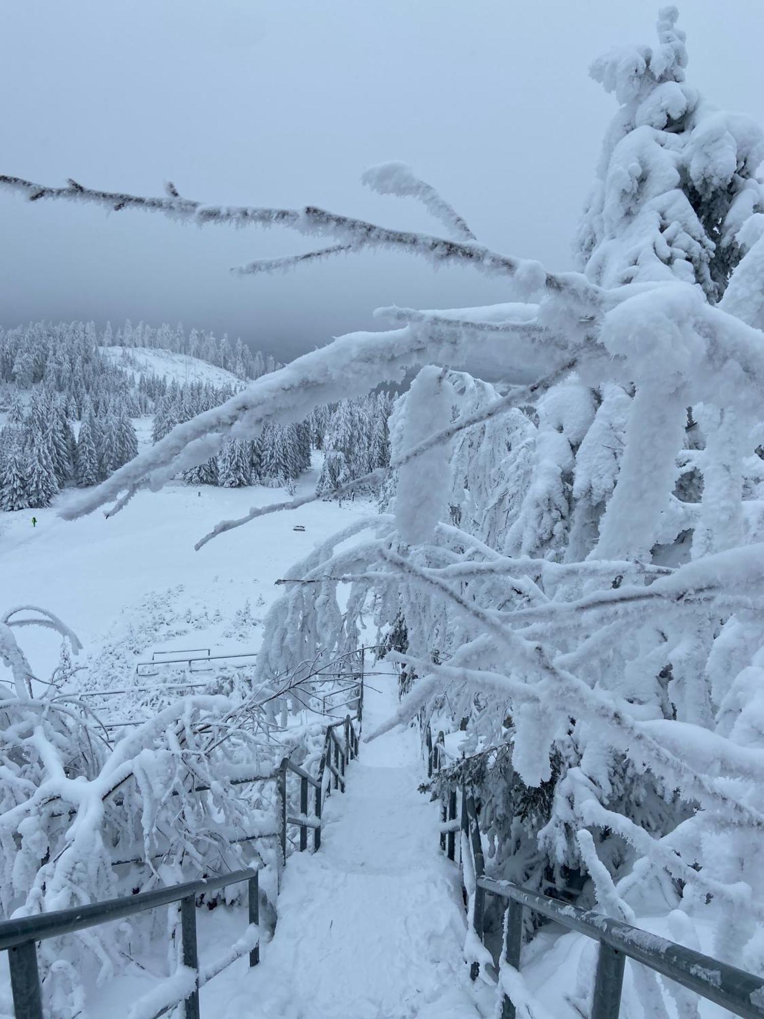 Bergtraum Braunlage Im Harz, 17 Gaeste, Sauna, Pool Exterior foto